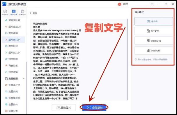 图片文字转换技巧全解析-图2