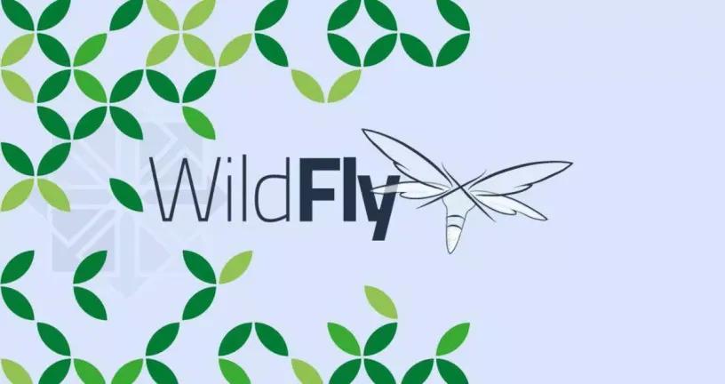 CentOS7下WildFly配置指南-图1 CentOS7下WildFly配置指南-图1
