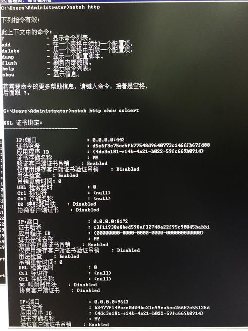 IIS证书错误解决攻略，轻松应对缺失证书报错-图1