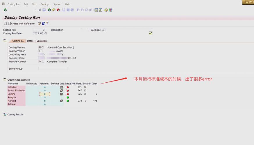 SAP公司代码创建报错问题解决攻略-图2
