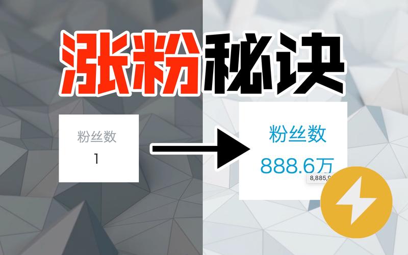 快手100自助涨粉利器,KS100涨粉神器揭秘-图3 快手100自助涨粉利器,KS100涨粉神器揭秘-图3