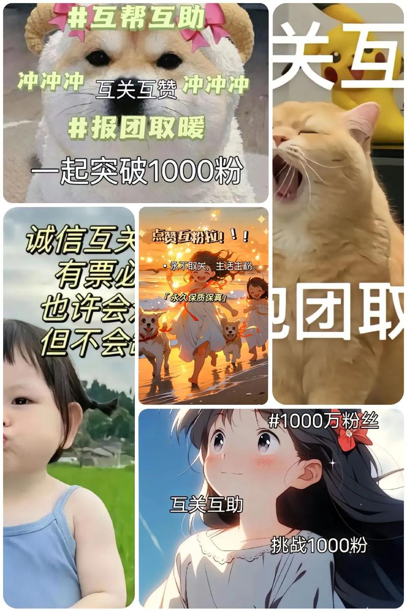 快手一元快速涨粉1000，超值低价粉丝速充服务-图1