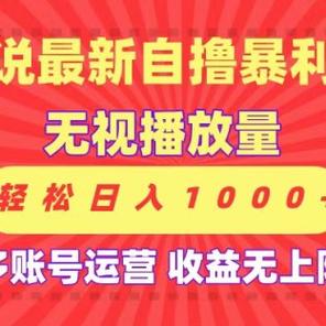 轻松日赚1000播放量，免费领取流量秘籍-图2