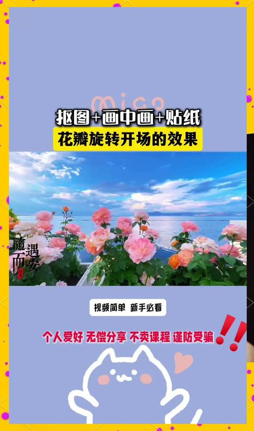 花瓣剪辑视频歌曲添加指南-图2