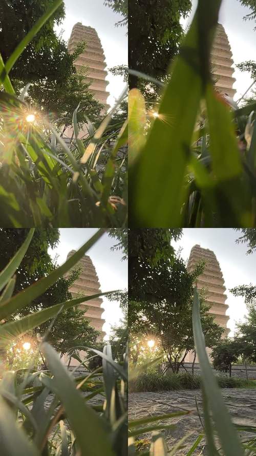 小塔视频剪辑教程，轻松上手剪辑技巧-图3