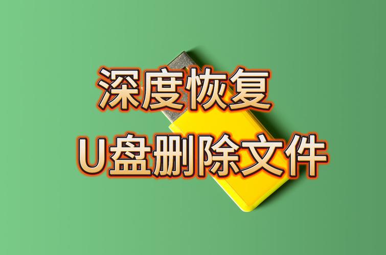 U盘数据恢复与格式化指南-图3