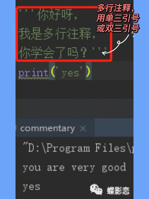 Python多行注释技巧详解-图2