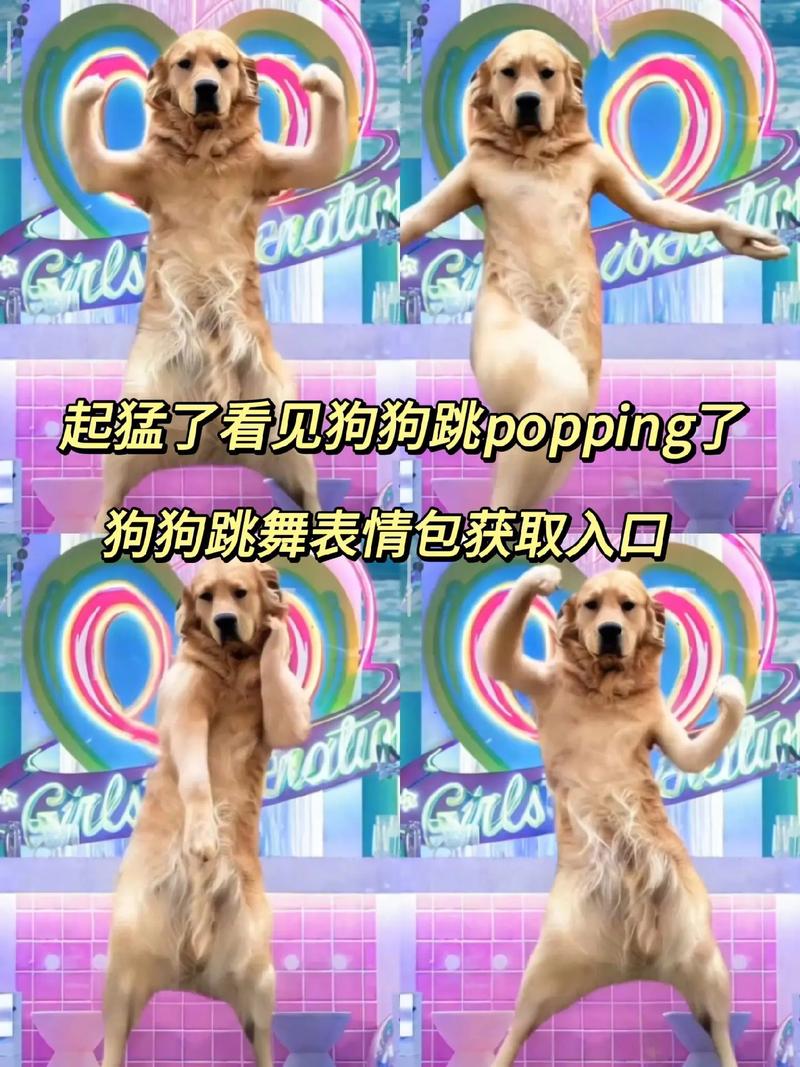 狗狗跳舞秀，视频剪辑技巧大揭秘-图2