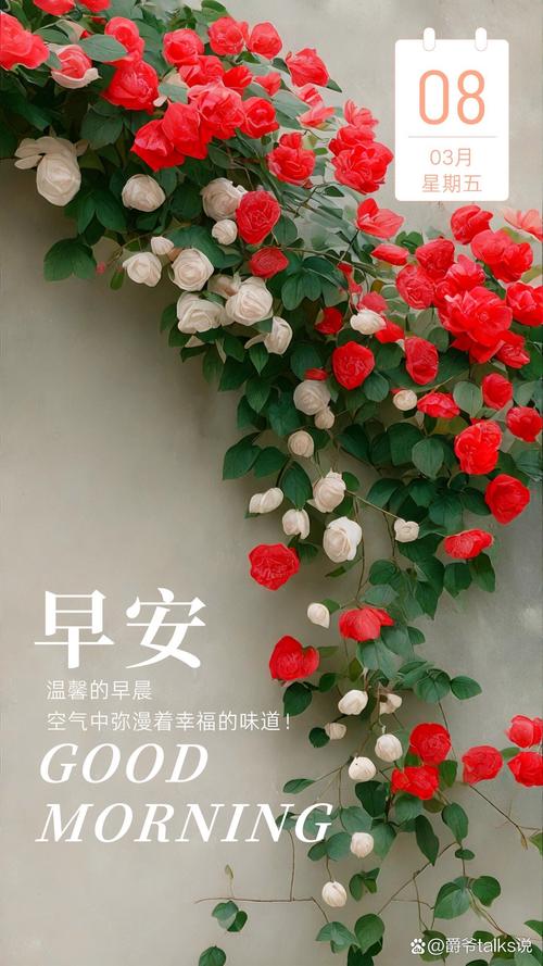早安心语视频剪辑技巧解析-图1
