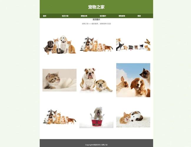 打造个人家庭网站指南-图2