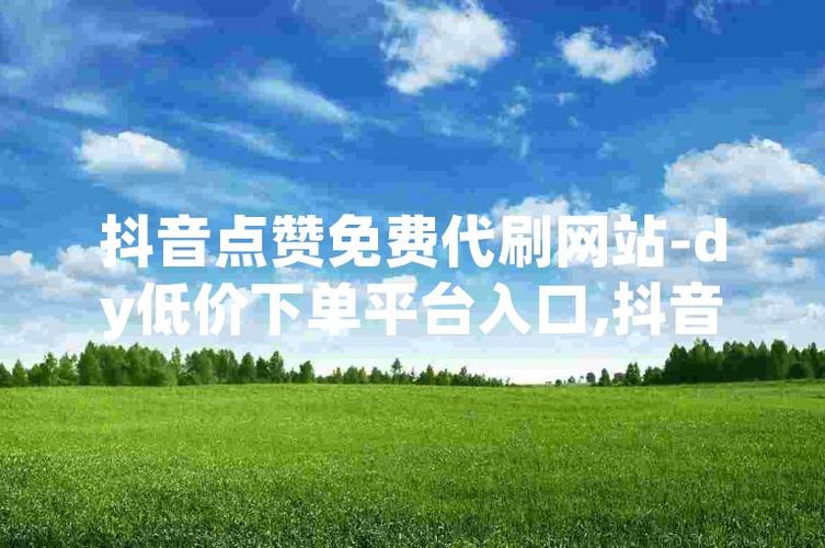 抖音ks业务24小时免费下单平台，赞下单无忧体验-图3