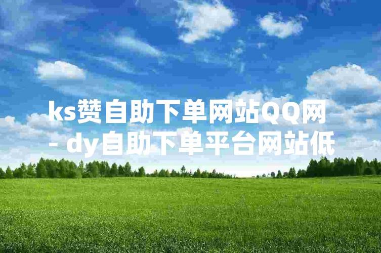 KS在线人气自助网站,实惠赞单平台推荐-图2 KS在线人气自助网站,实惠赞单平台推荐-图2