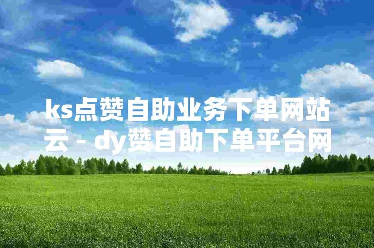 一元自助下单，dy平台ks自助服务网站优惠体验-图1
