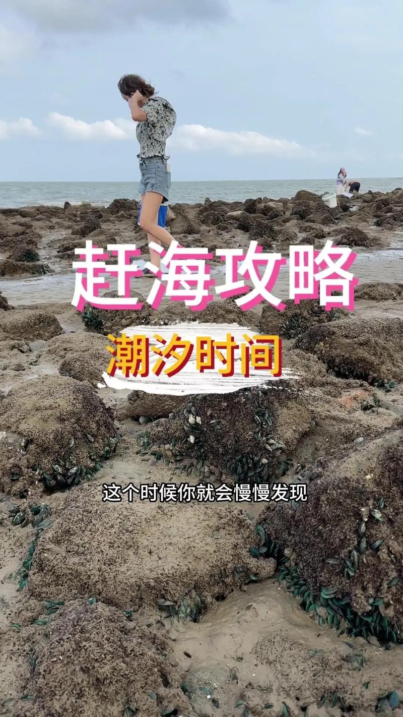 赶海视频配音与剪辑技巧解析-图1