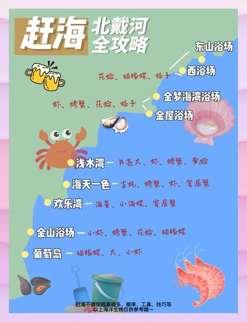 赶海视频配音与剪辑技巧解析-图2