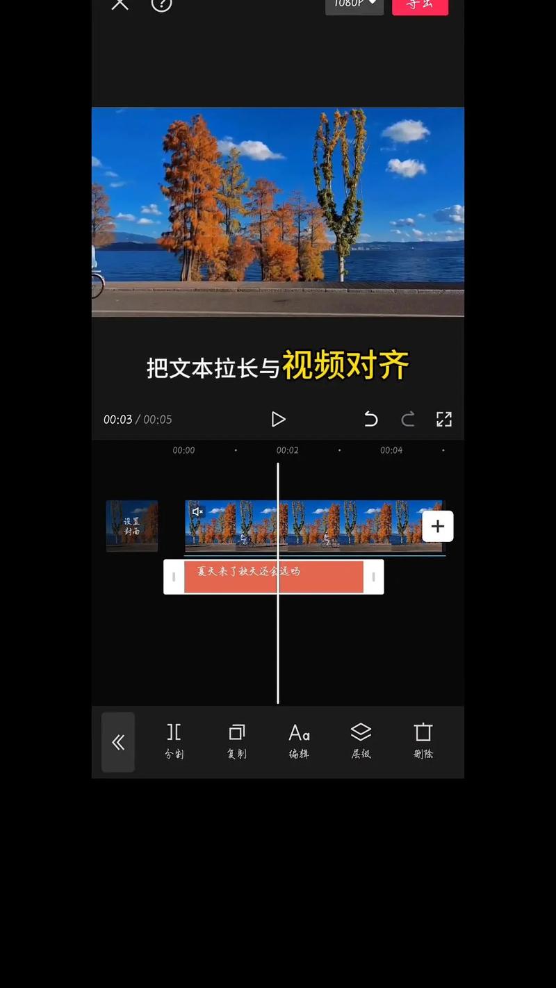 视频剪辑攻略，如何高效剪辑跟踪人像视频-图1