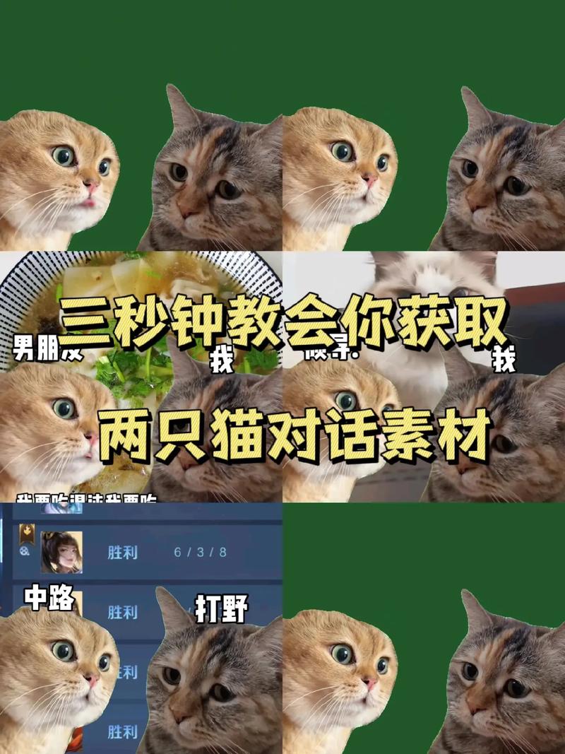 猫咪视频剪辑技巧，轻松切片保存精彩片段-图2