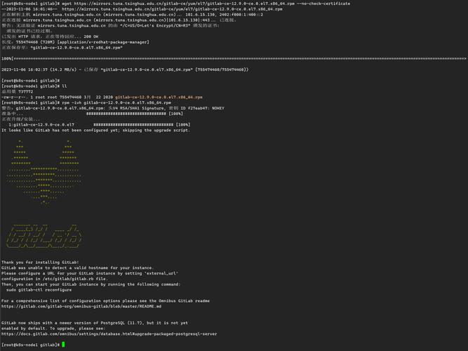 CentOS 7 系统中 GitLab 卸载指南-图1