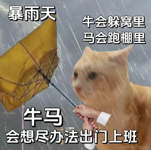 暴雨洗礼下的北京打工人，拼搏身影映照坚韧意志-图3
