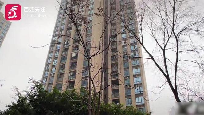 重庆姐弟坠亡房屋法拍撤回事件再起波澜-图1 重庆姐弟坠亡房屋法拍撤回事件再起波澜-图1