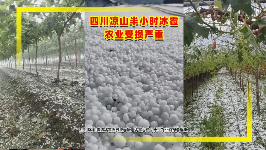 成都冰雹高温并存，冰火两重天的天气奇观-图3
