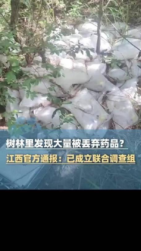 江西树林惊现大量废弃药品堆积-图1 江西树林惊现大量废弃药品堆积-图1