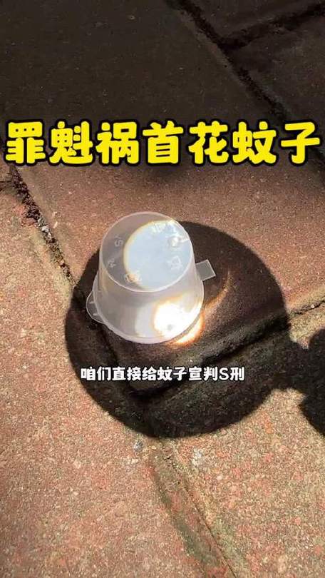河北现白纹伊蚊入侵，警惕蚊媒传染病风险-图1