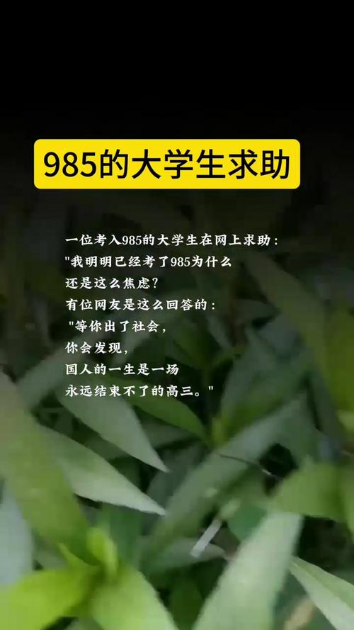 网友托举男孩成功考上985高校-图2 网友托举男孩成功考上985高校-图2