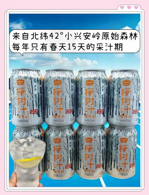 白桦树汁，天然液体黄金的秘密-图2
