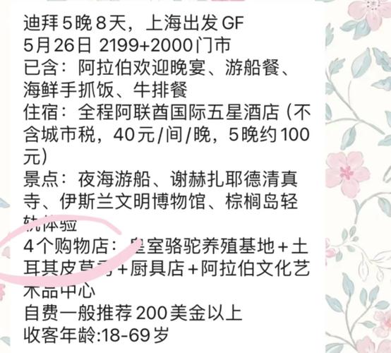 迪拜奢华之下，低价游的挑战与影响-图2