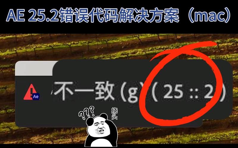 解决AE报错25:16疑难杂症指南-图3