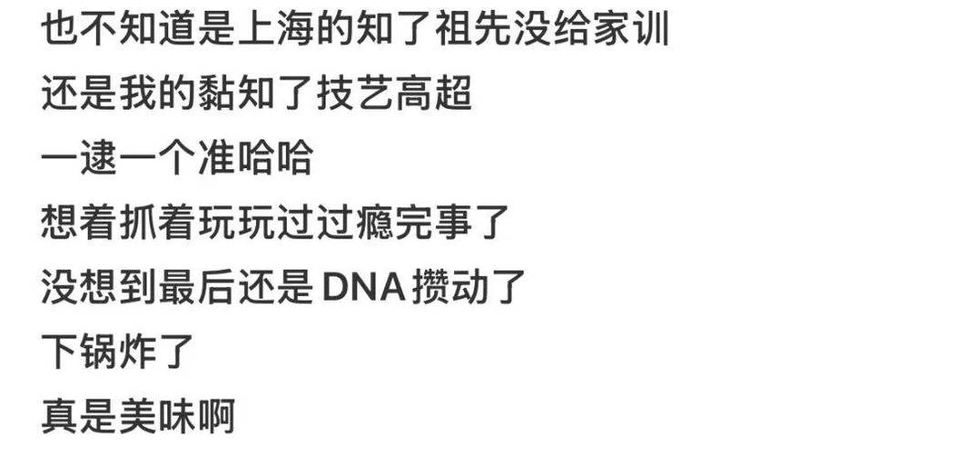 上海蝉灾引发山东民众担忧-图3