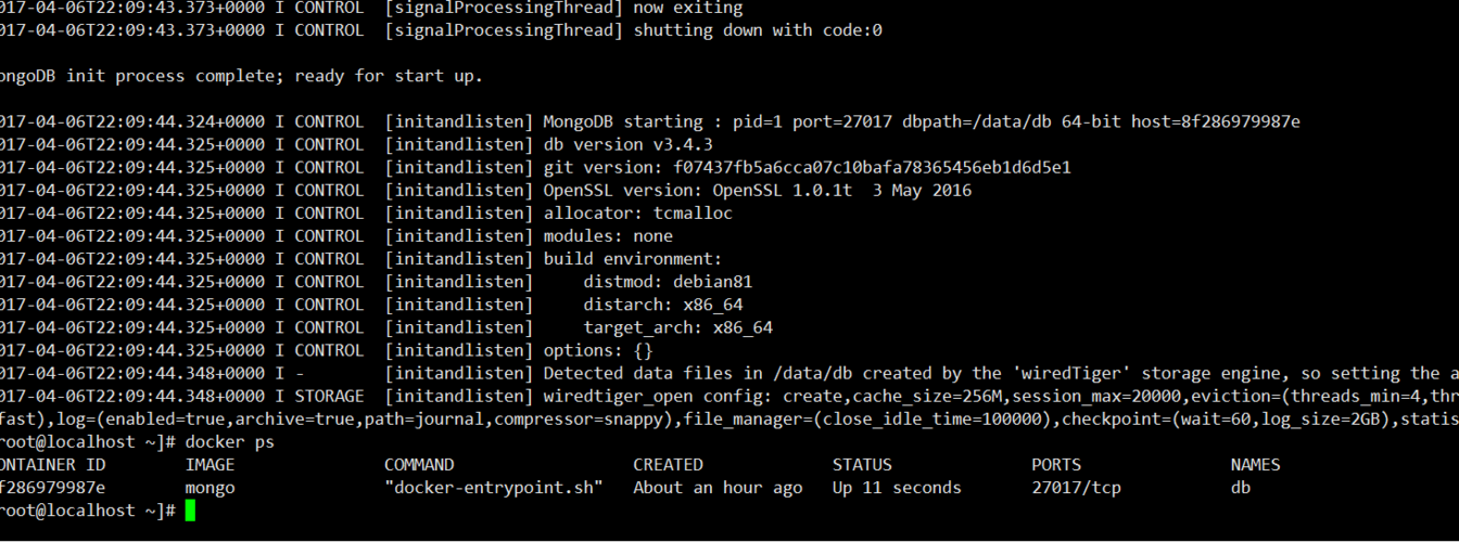 MongoDB Docker启动错误排查指南-图1