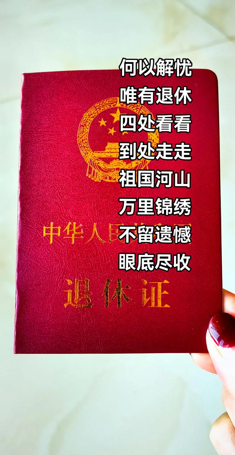 退休阿姨群退潮,手机重量大减-图1 退休阿姨群退潮,手机重量大减-图1