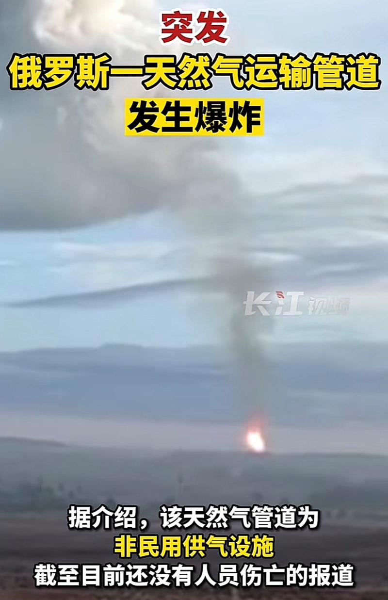俄天然气管道爆炸停运引发能源供应紧张-图3