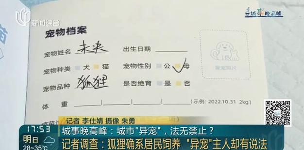 上海小区惊现北美赤狐遛弯-图2
