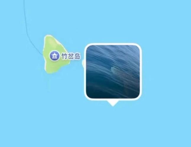 青岛海域惊现鲸鲨，钓友意外捕捉珍贵瞬间-图2