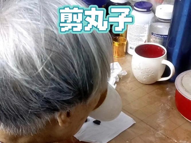 轻松剪辑,打造搞笑丸子的视频盛宴-图3 轻松剪辑,打造搞笑丸子的视频盛宴-图3