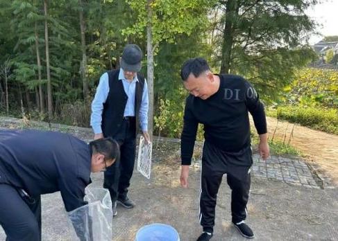 鸡事闹法庭，离婚纠纷中的29只鸡成焦点-图2