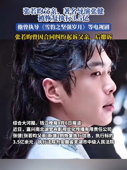 张若昀父亲3.5亿执行案恢复，娱乐圈再掀风波-图2