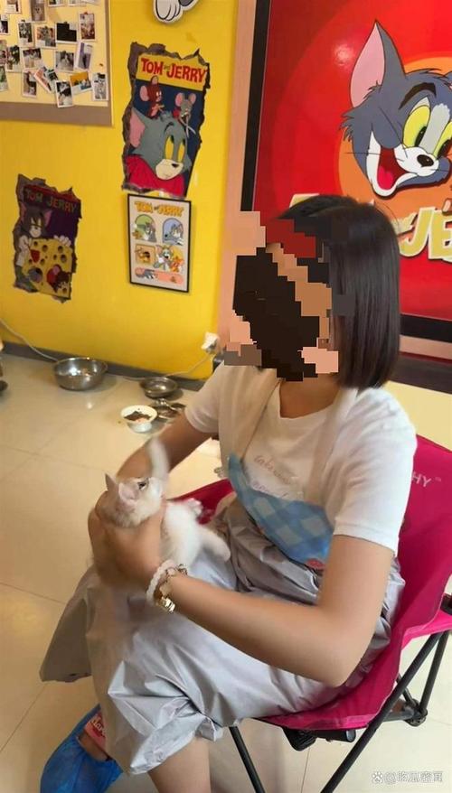 猫咖虐猫悲剧，女子包房内致4猫死伤引关注-图1