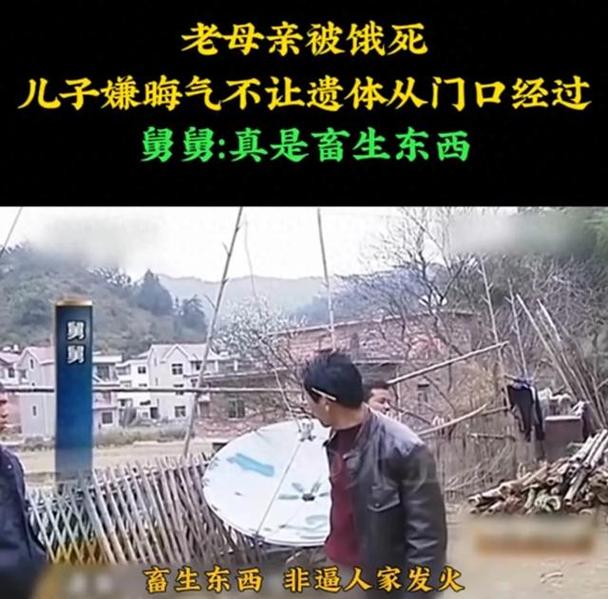 77岁母亲再婚遭儿子嫌弃，病重无人照料引社会关注-图2