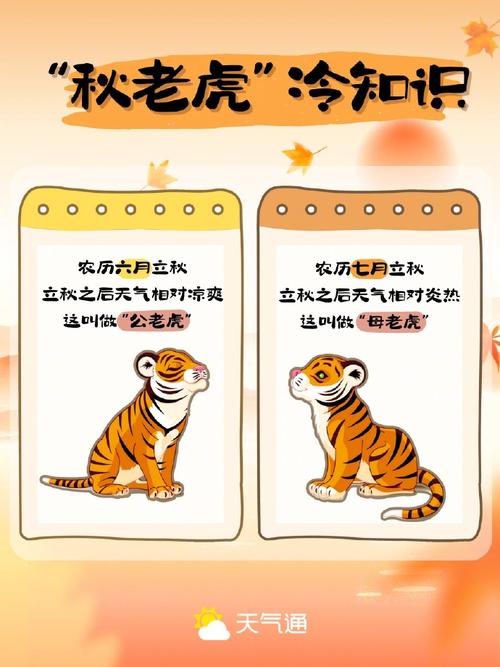 秋老虎或将再次来袭-图1 秋老虎或将再次来袭-图1