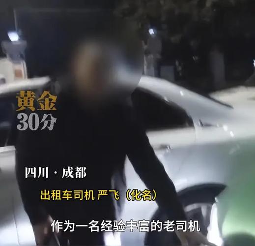 出租司机碰瓷制造多起事故获刑，揭露黑幕背后惊心动魄-图3
