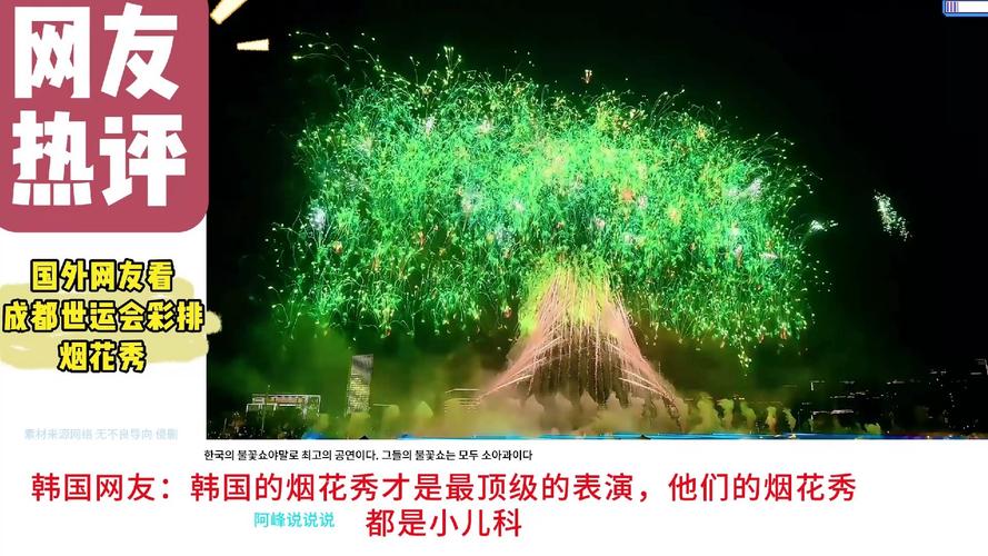 世运会烟花秀，璀璨夜空，视觉盛宴-图3