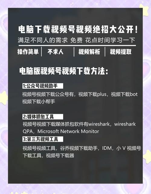 轻松掌握，视频下载至电脑的实用方法-图2