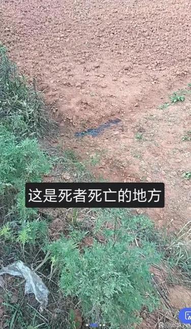 农民工不幸被误杀事件，工友揭露如厕悲剧-图1