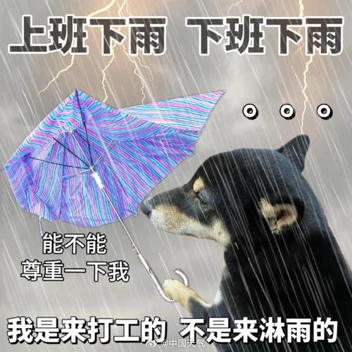 北京雨中坚守的打工人瞬间-图3