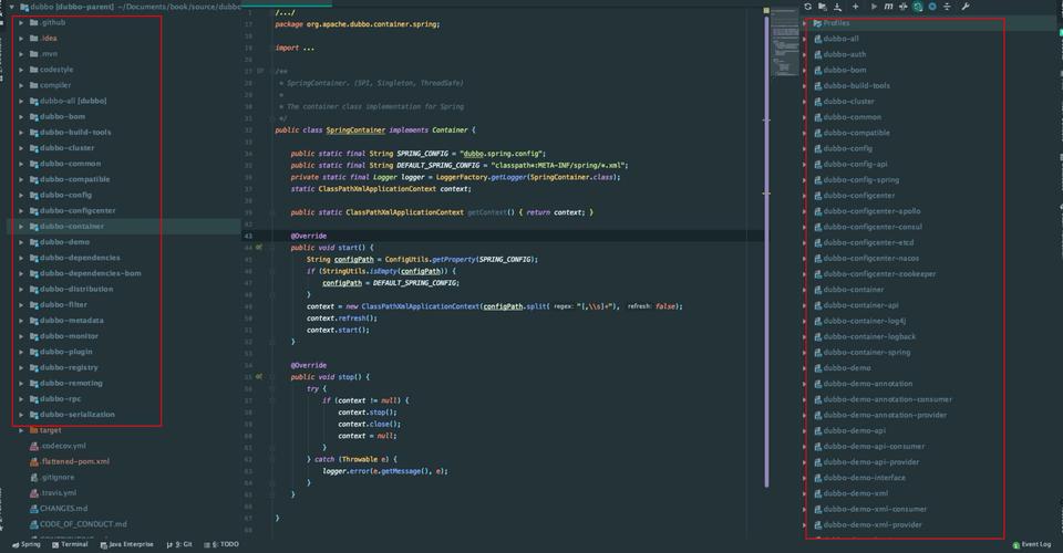 解决Dubbo源码运行报错指南-图1
