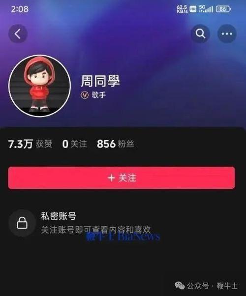 抖音自助推广下单平台，24小时秒到账业务服务-图3